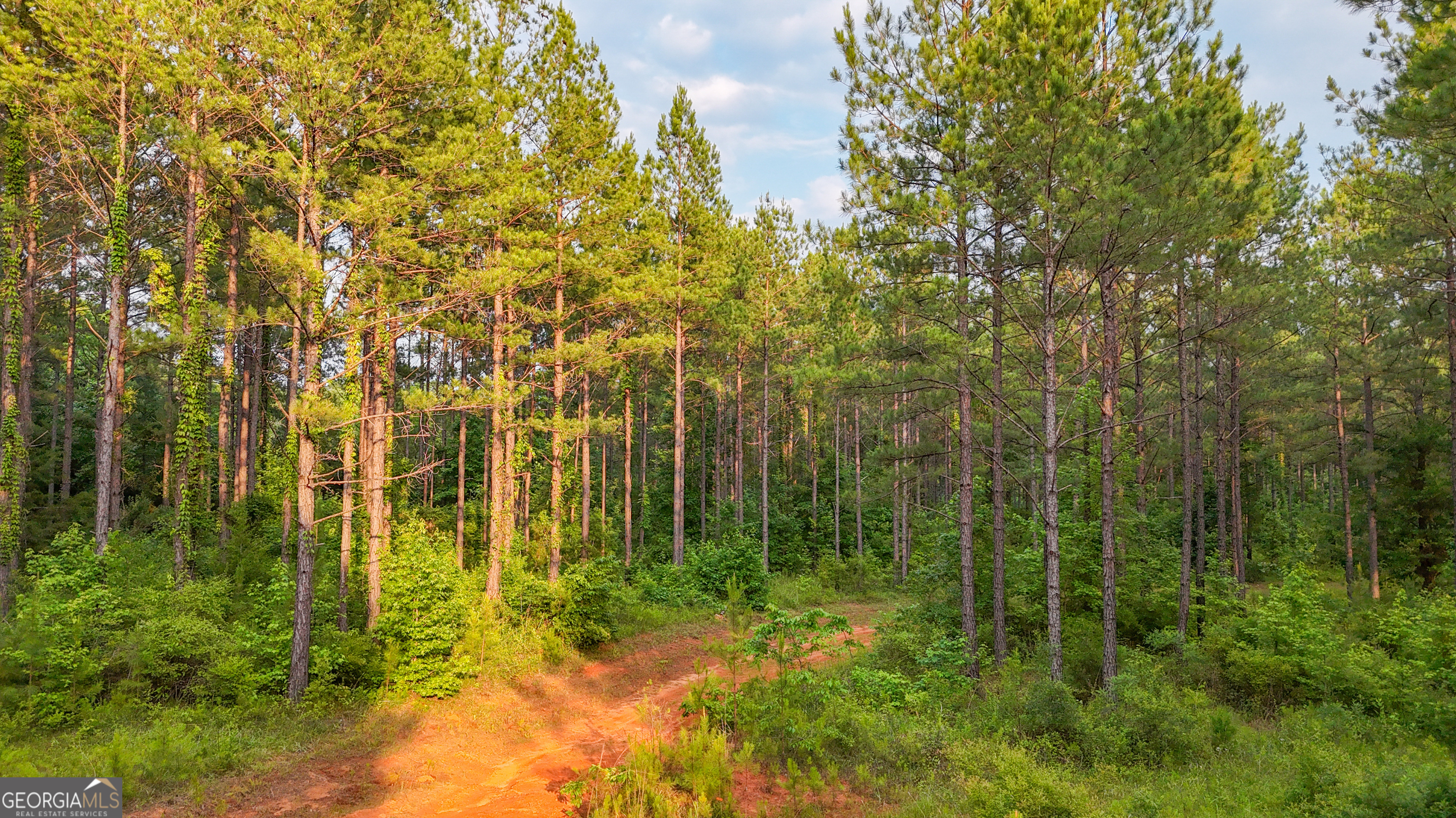 3644-3792 Fortune Hole Road Hamilton GA 31811