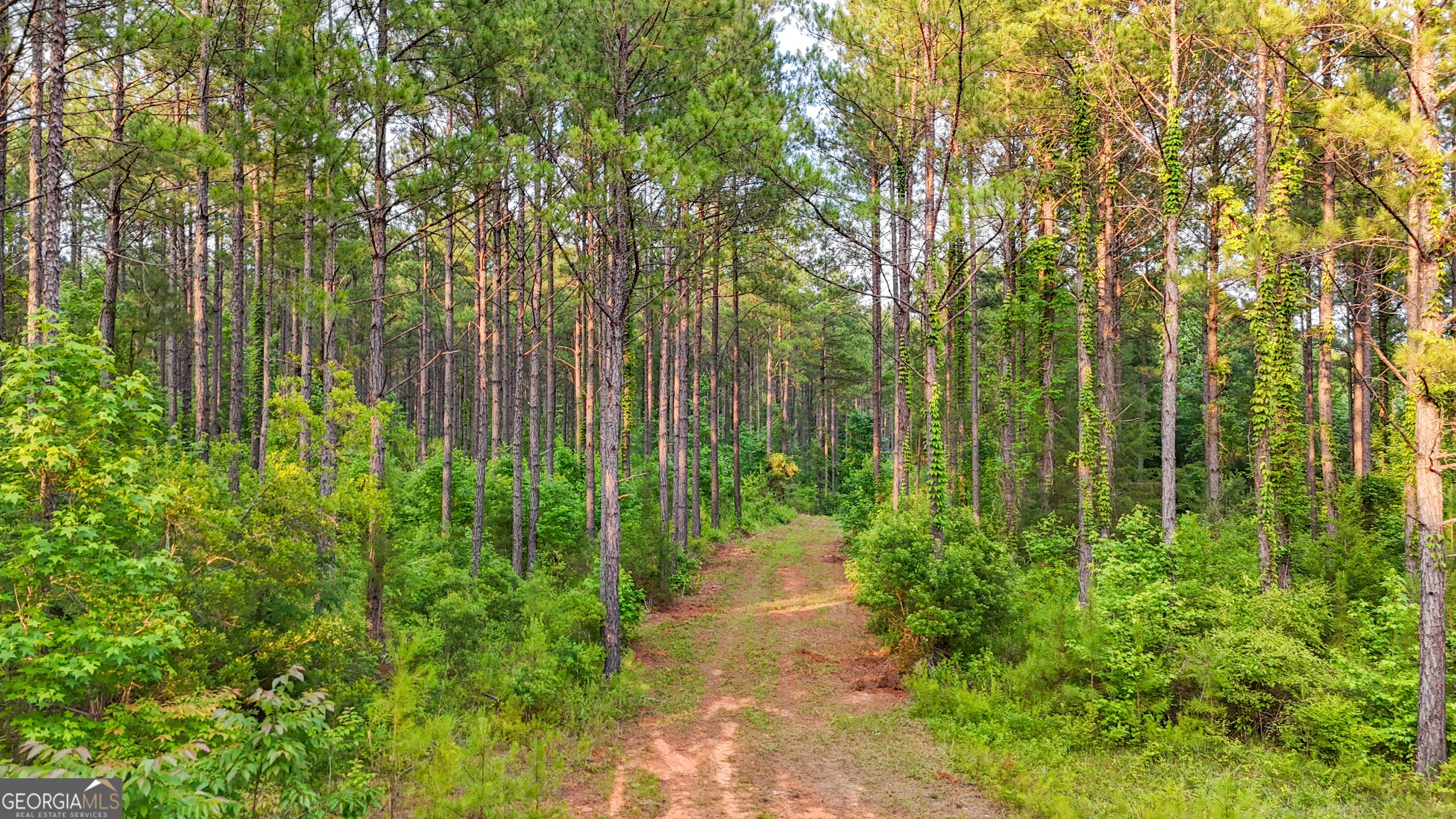 3644-3792 Fortune Hole Road Hamilton GA 31811