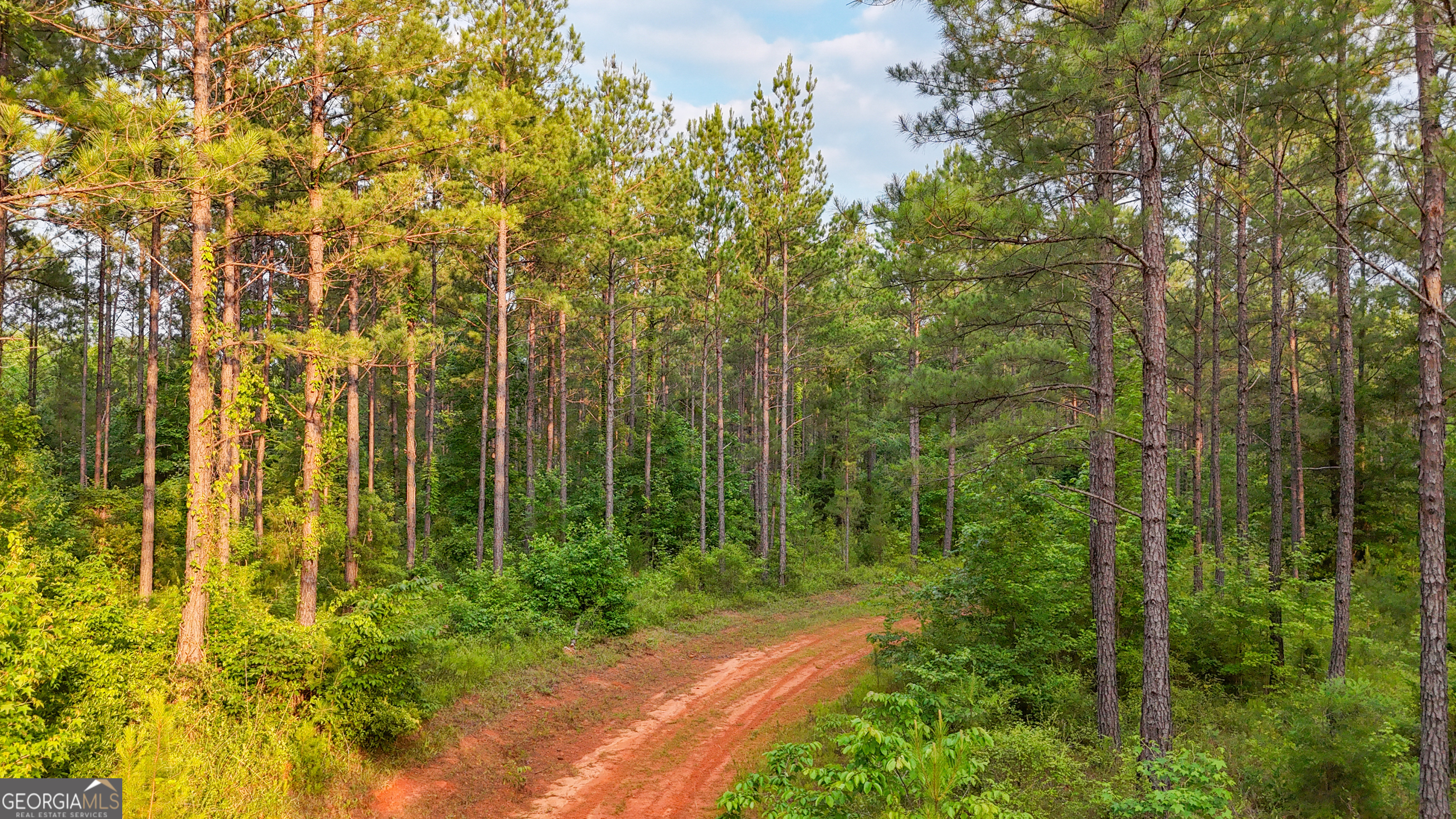 3644-3792 Fortune Hole Road Hamilton GA 31811