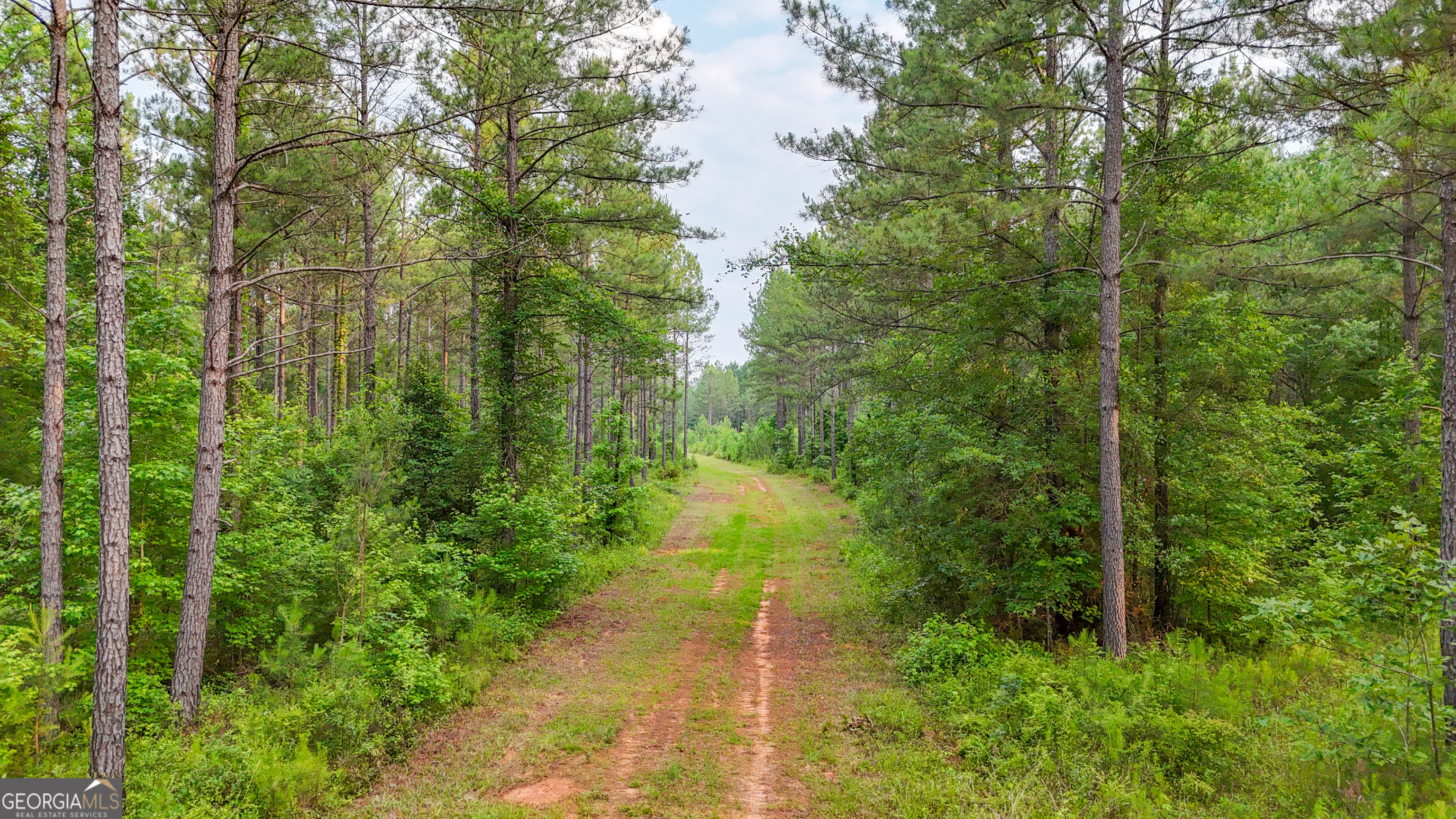 3644-3792 Fortune Hole Road Hamilton GA 31811