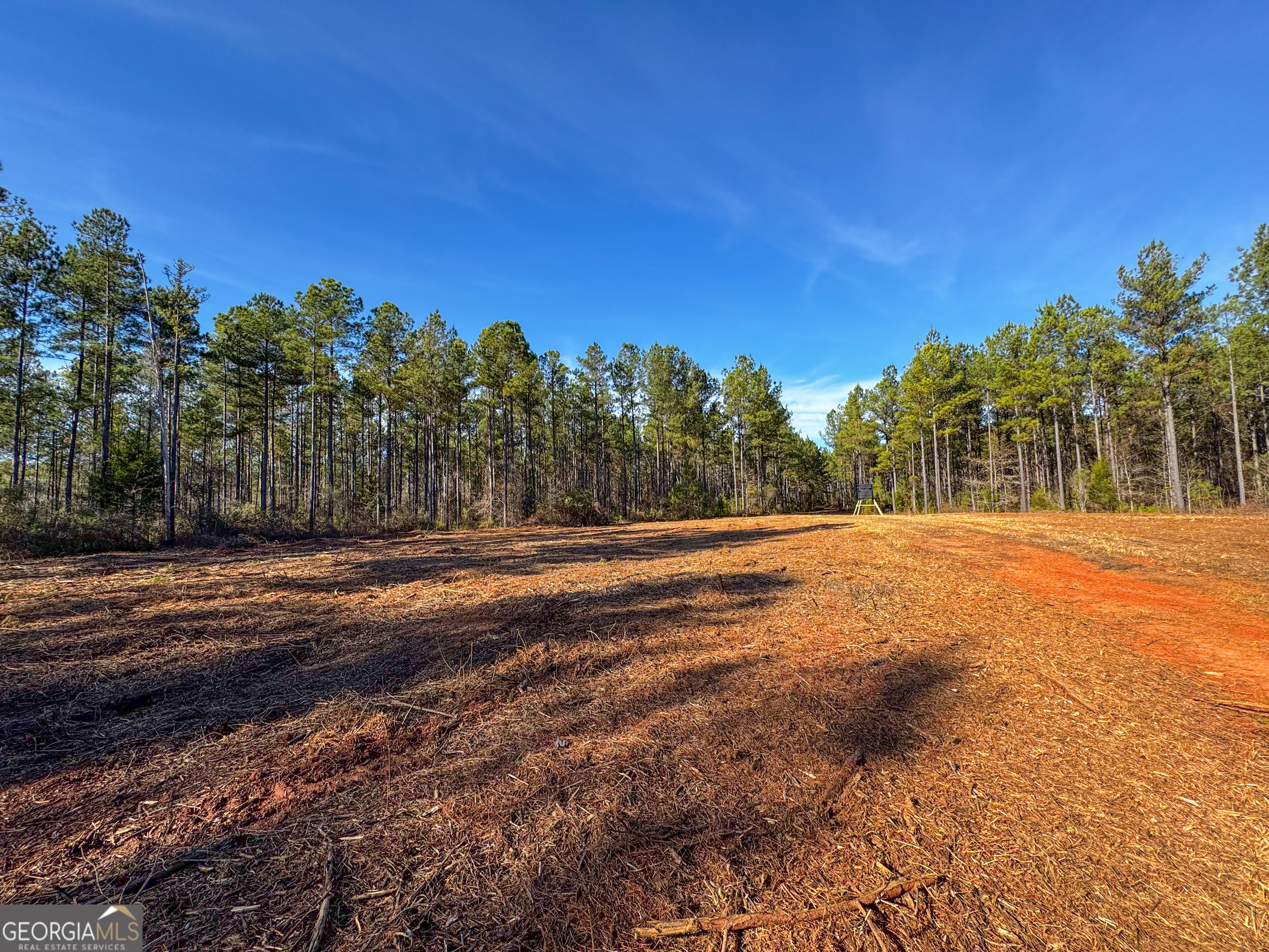 3644-3792 Fortune Hole Road Hamilton GA 31811