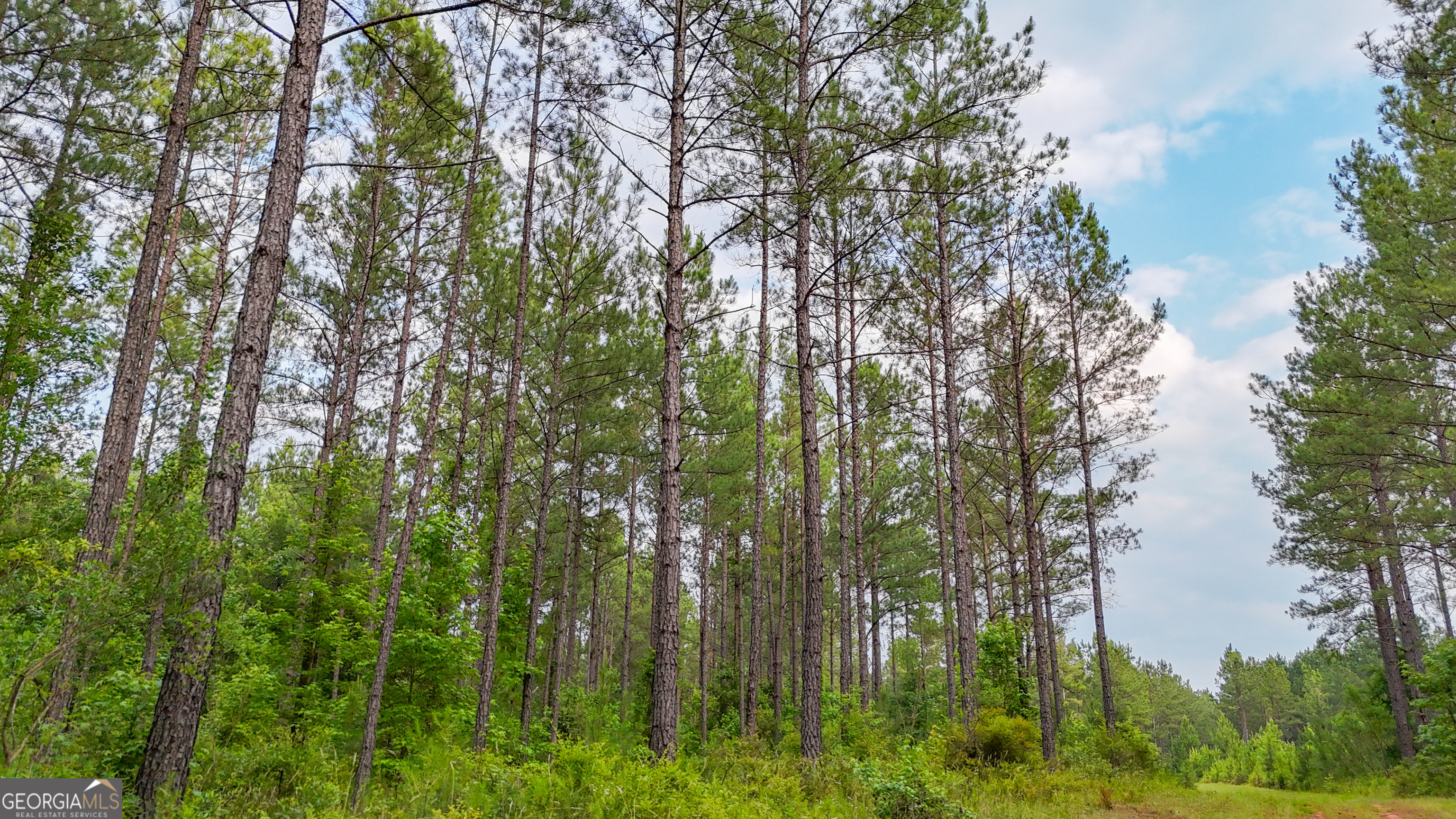 3644-3792 Fortune Hole Road Hamilton GA 31811