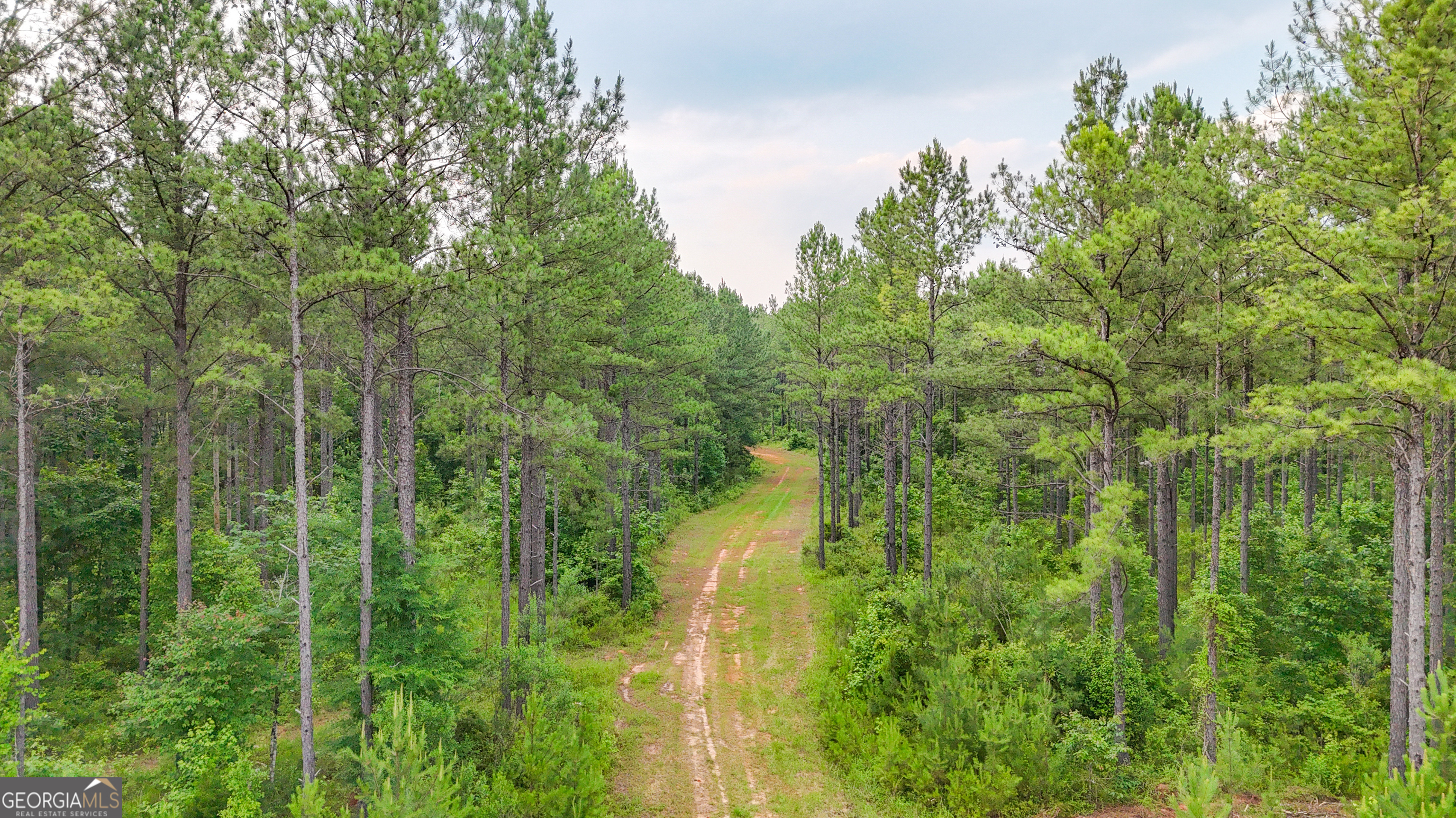 3644-3792 Fortune Hole Road Hamilton GA 31811