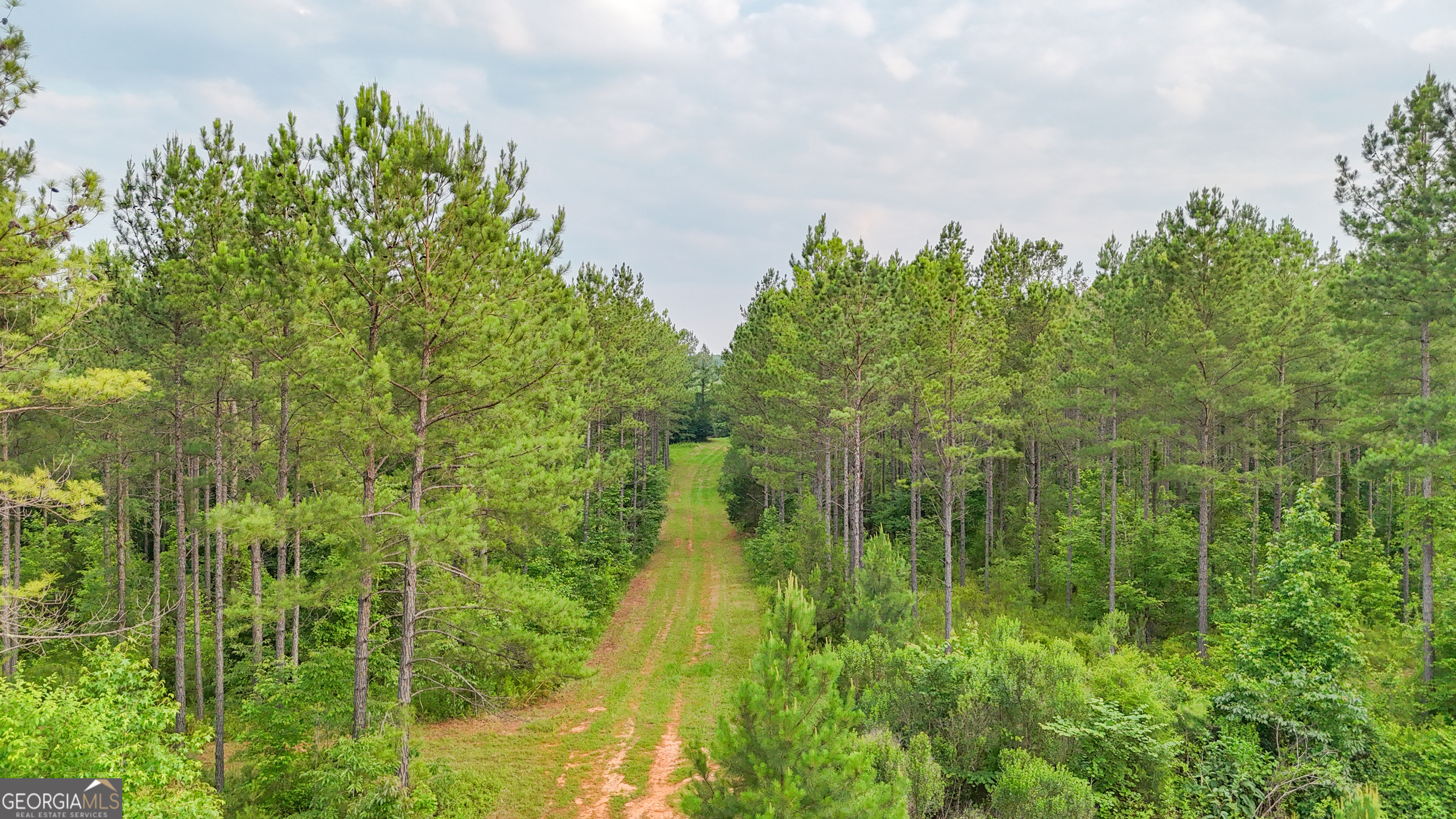 3644-3792 Fortune Hole Road Hamilton GA 31811