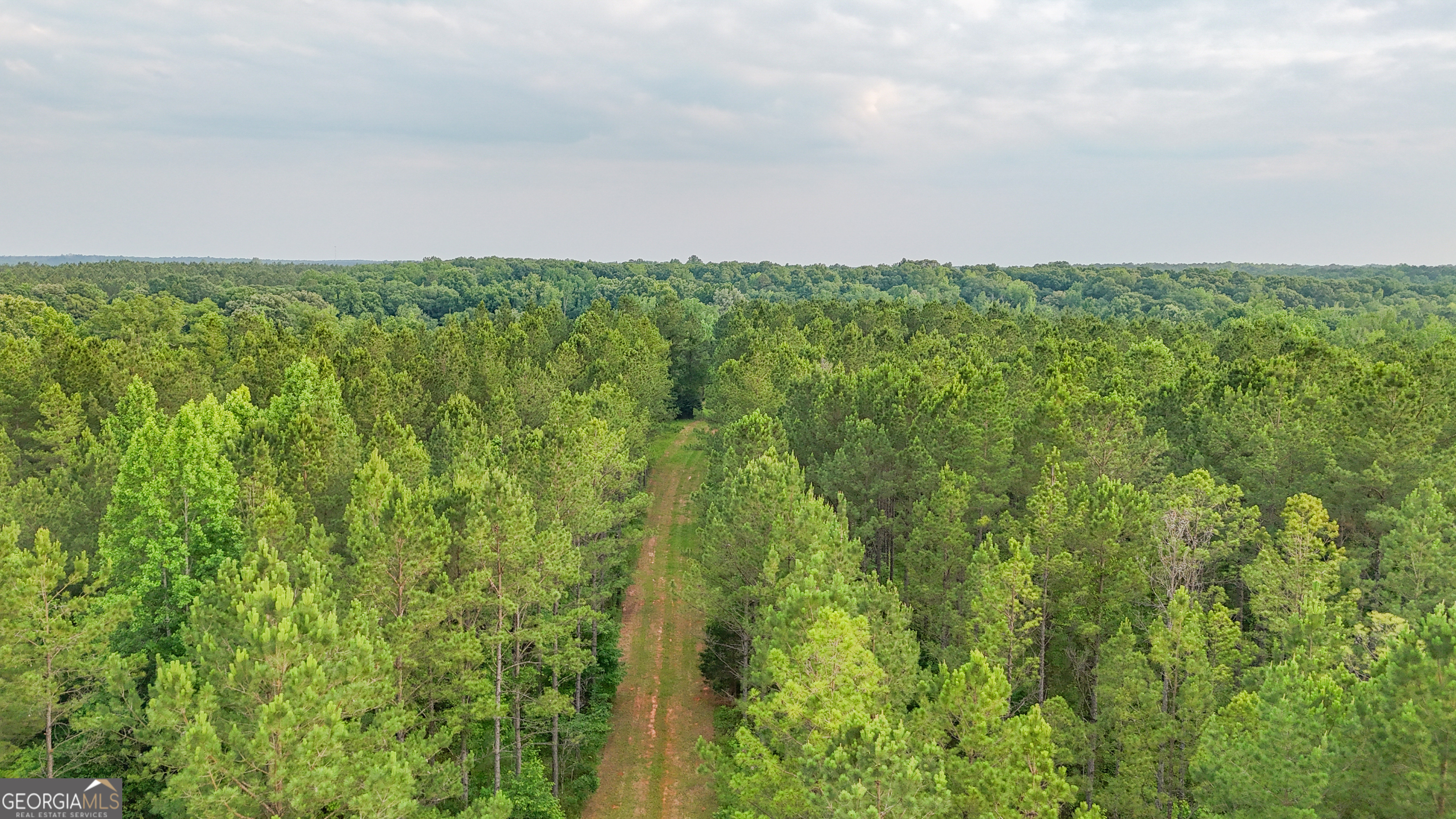 3644-3792 Fortune Hole Road Hamilton GA 31811