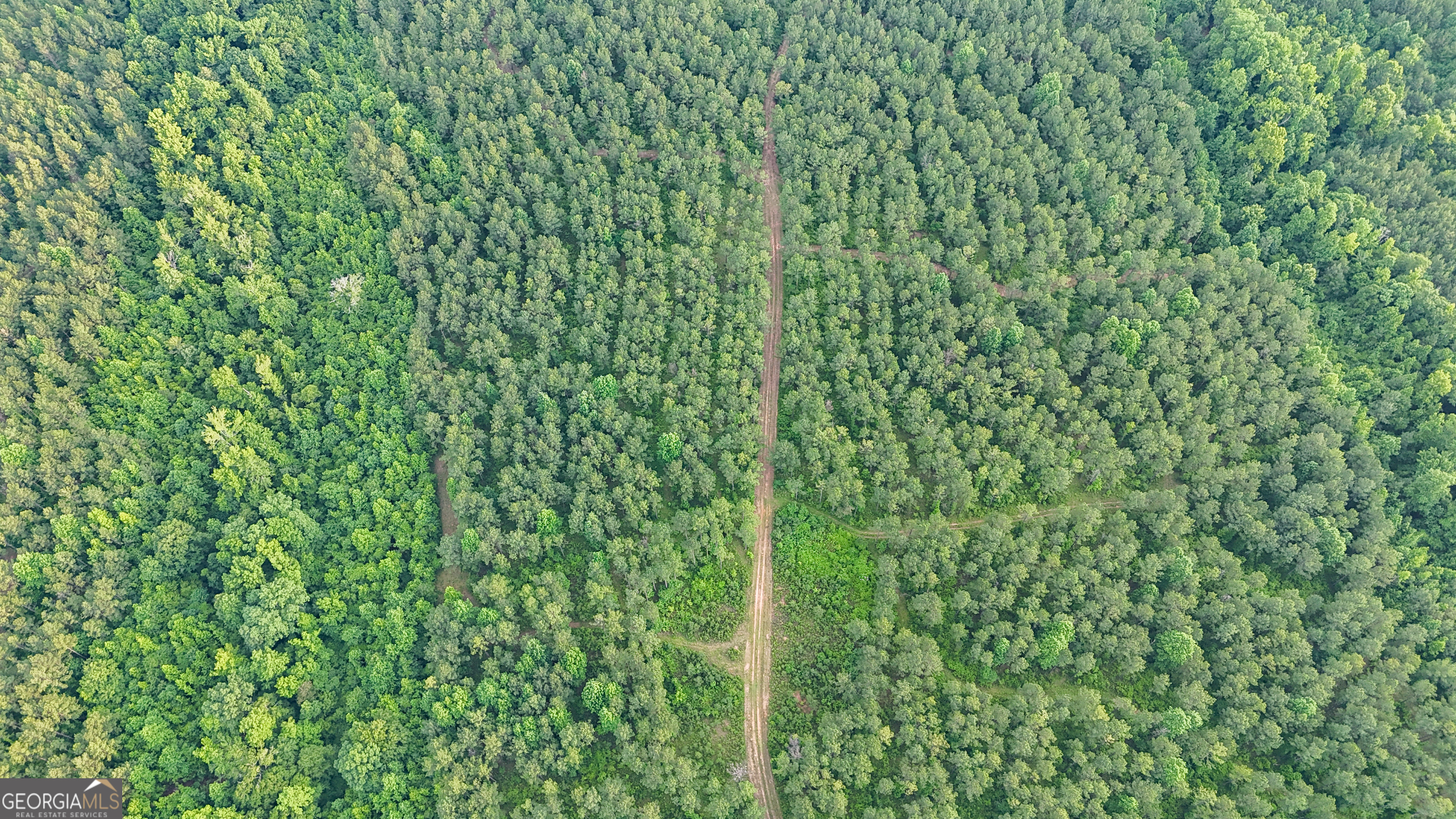 3644-3792 Fortune Hole Road Hamilton GA 31811