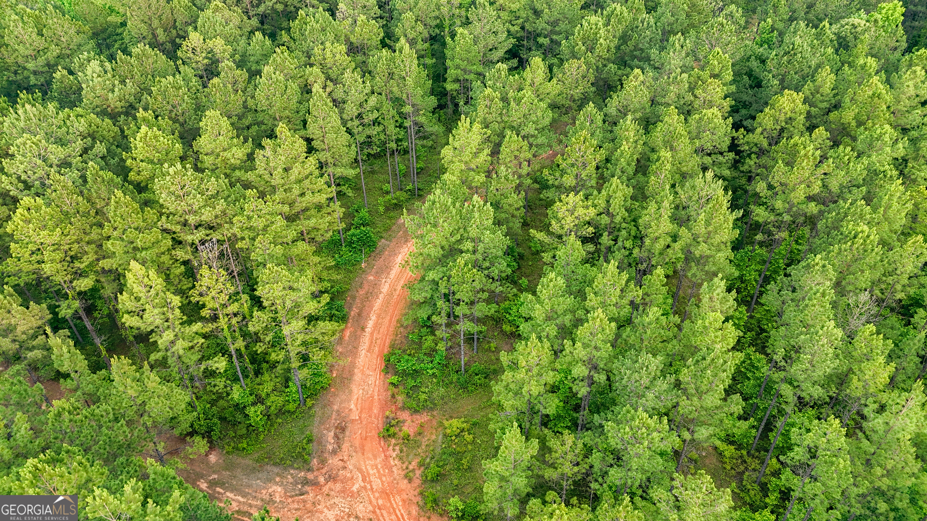 3644-3792 Fortune Hole Road Hamilton GA 31811