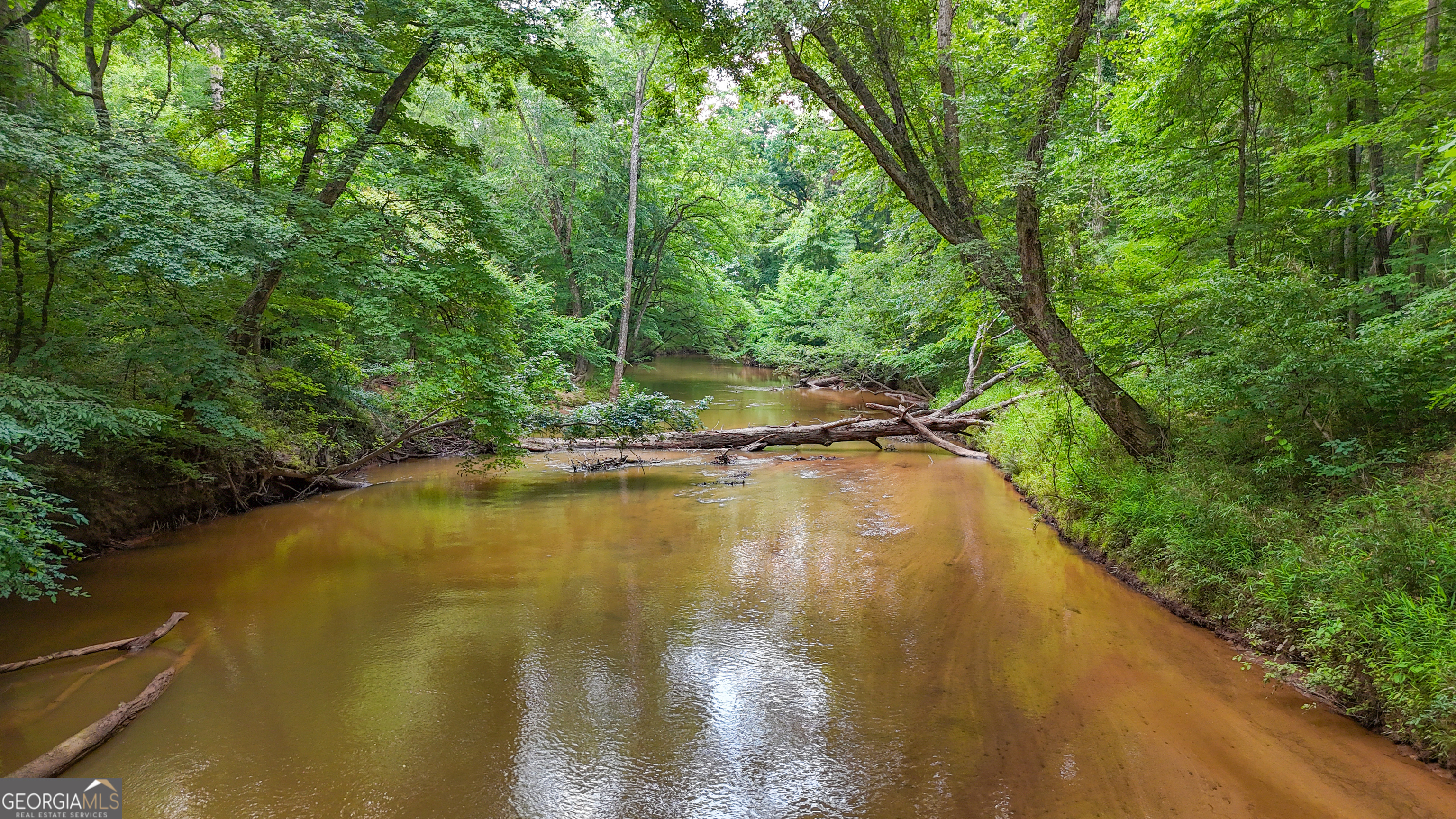 3644-3792 Fortune Hole Road Hamilton GA 31811