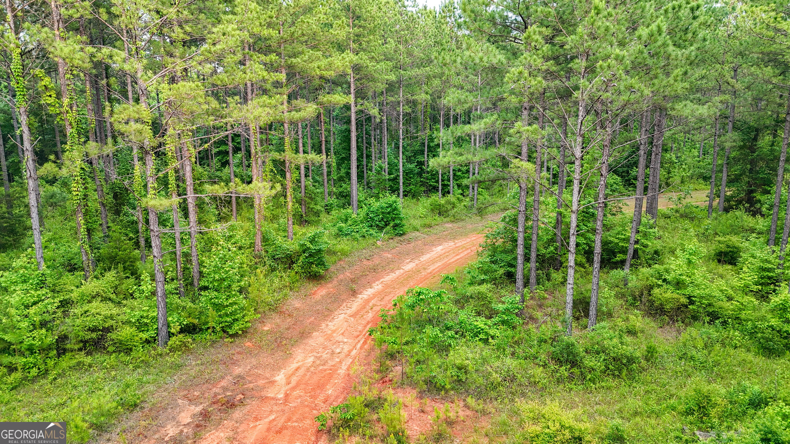 3644-3792 Fortune Hole Road Hamilton GA 31811