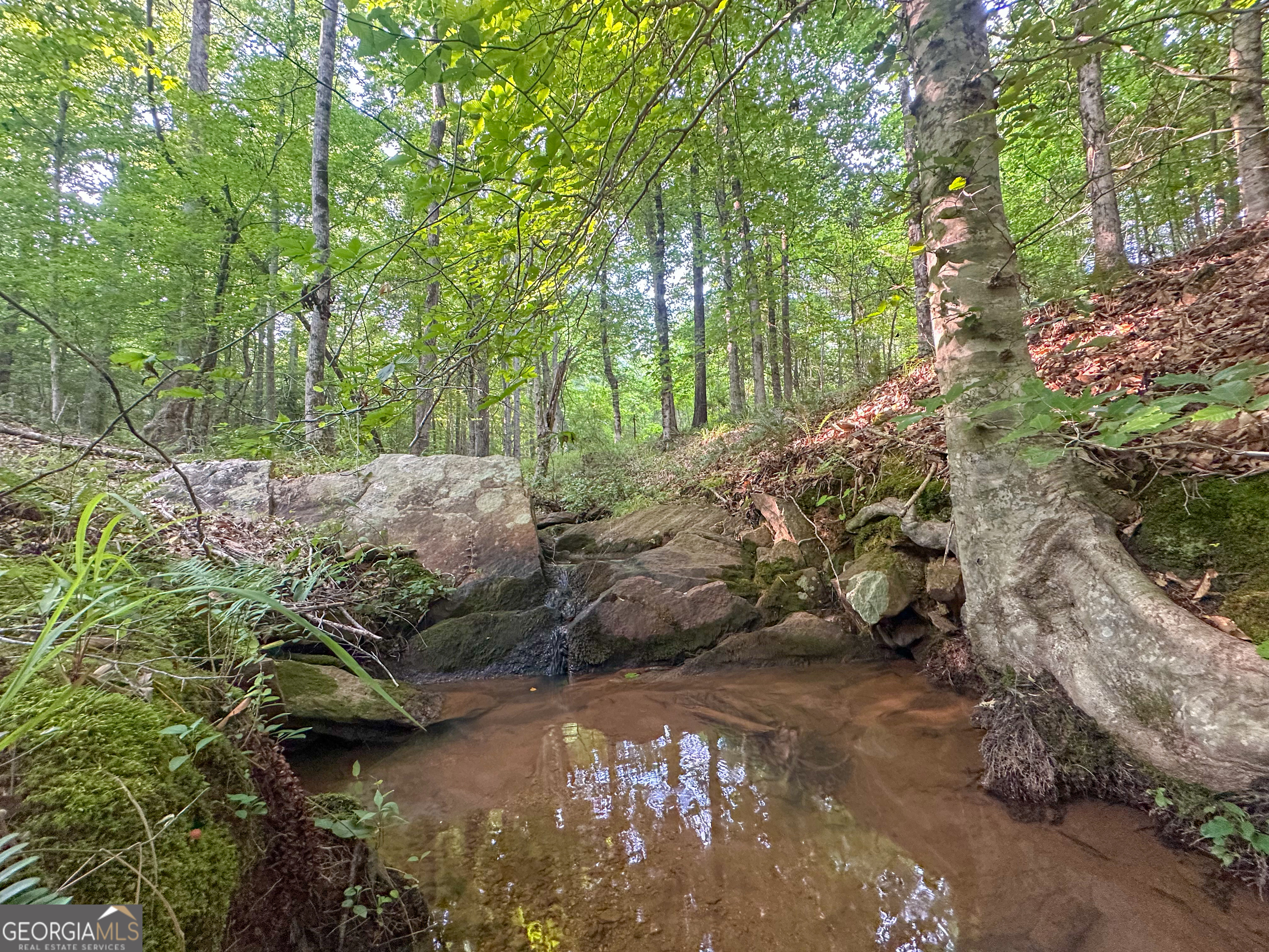 3644-3792 Fortune Hole Road Hamilton GA 31811