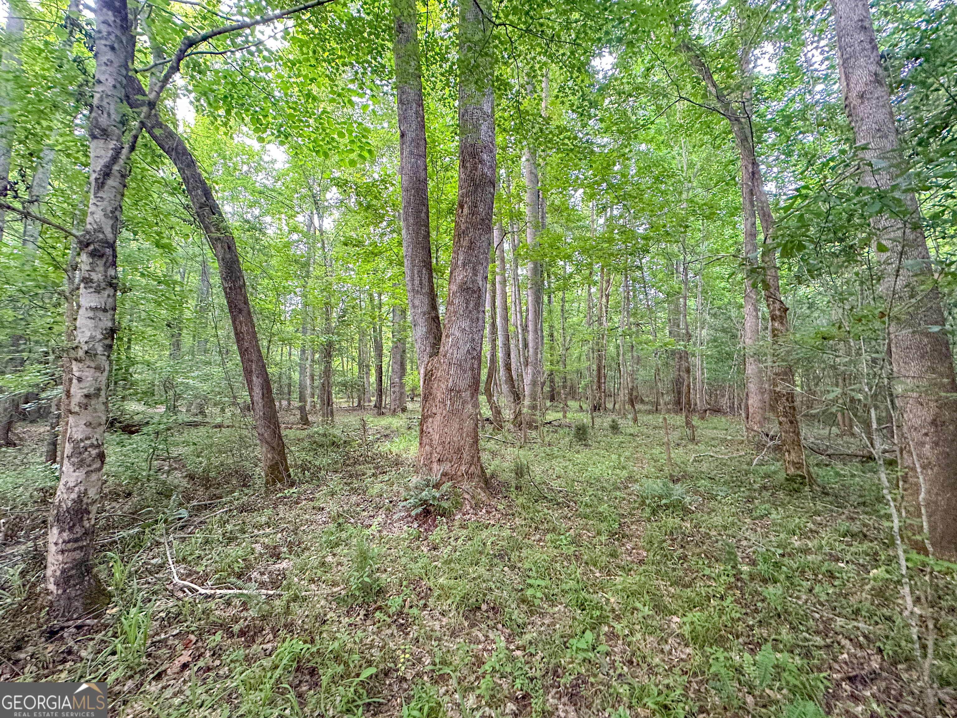 3644-3792 Fortune Hole Road Hamilton GA 31811