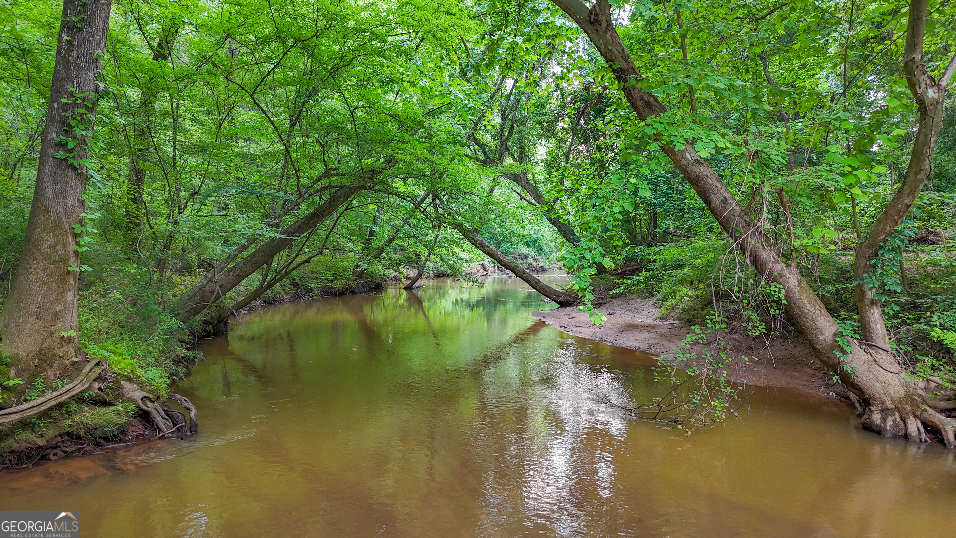 3644-3792 Fortune Hole Road Hamilton GA 31811