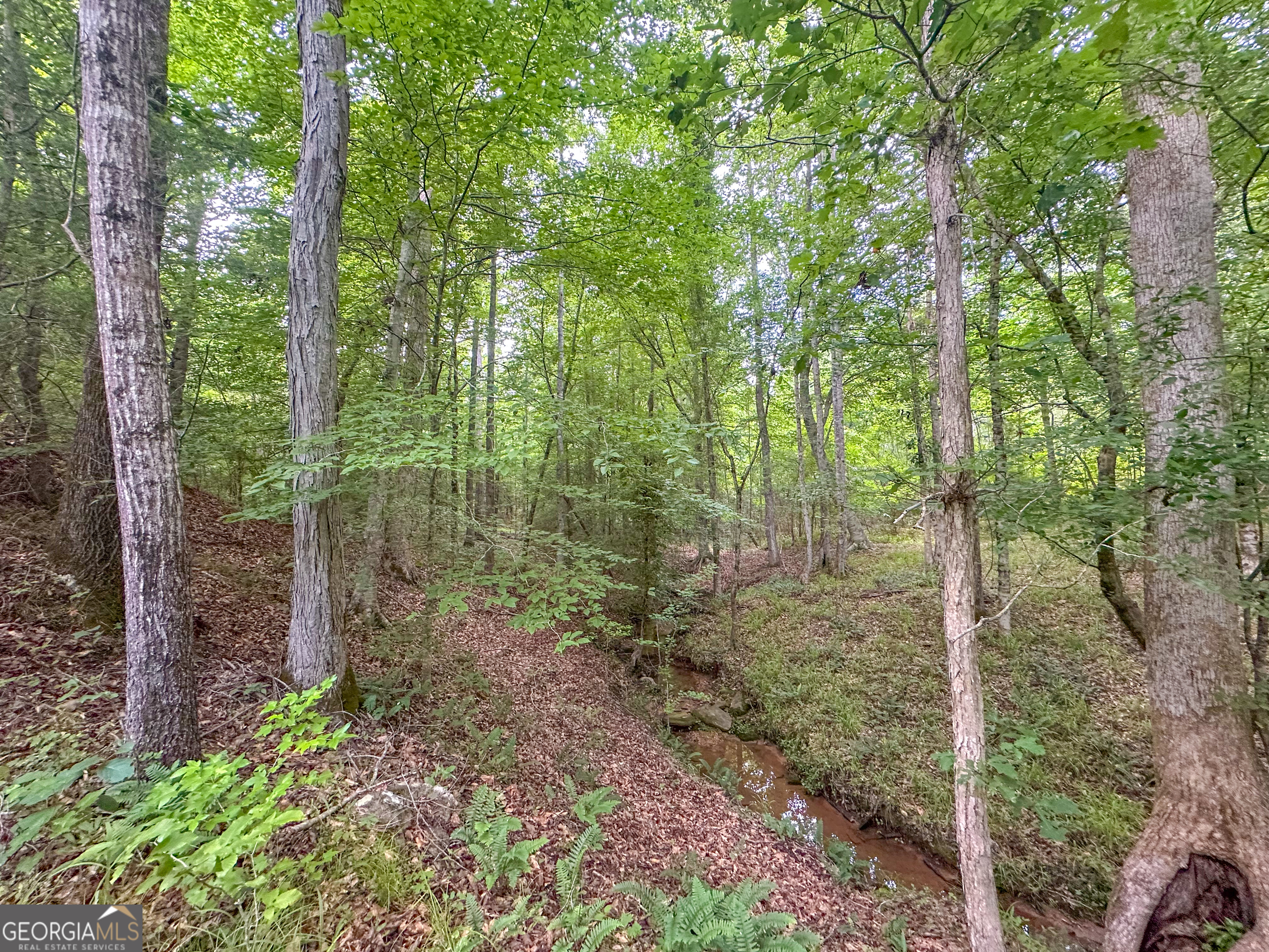 3644-3792 Fortune Hole Road Hamilton GA 31811