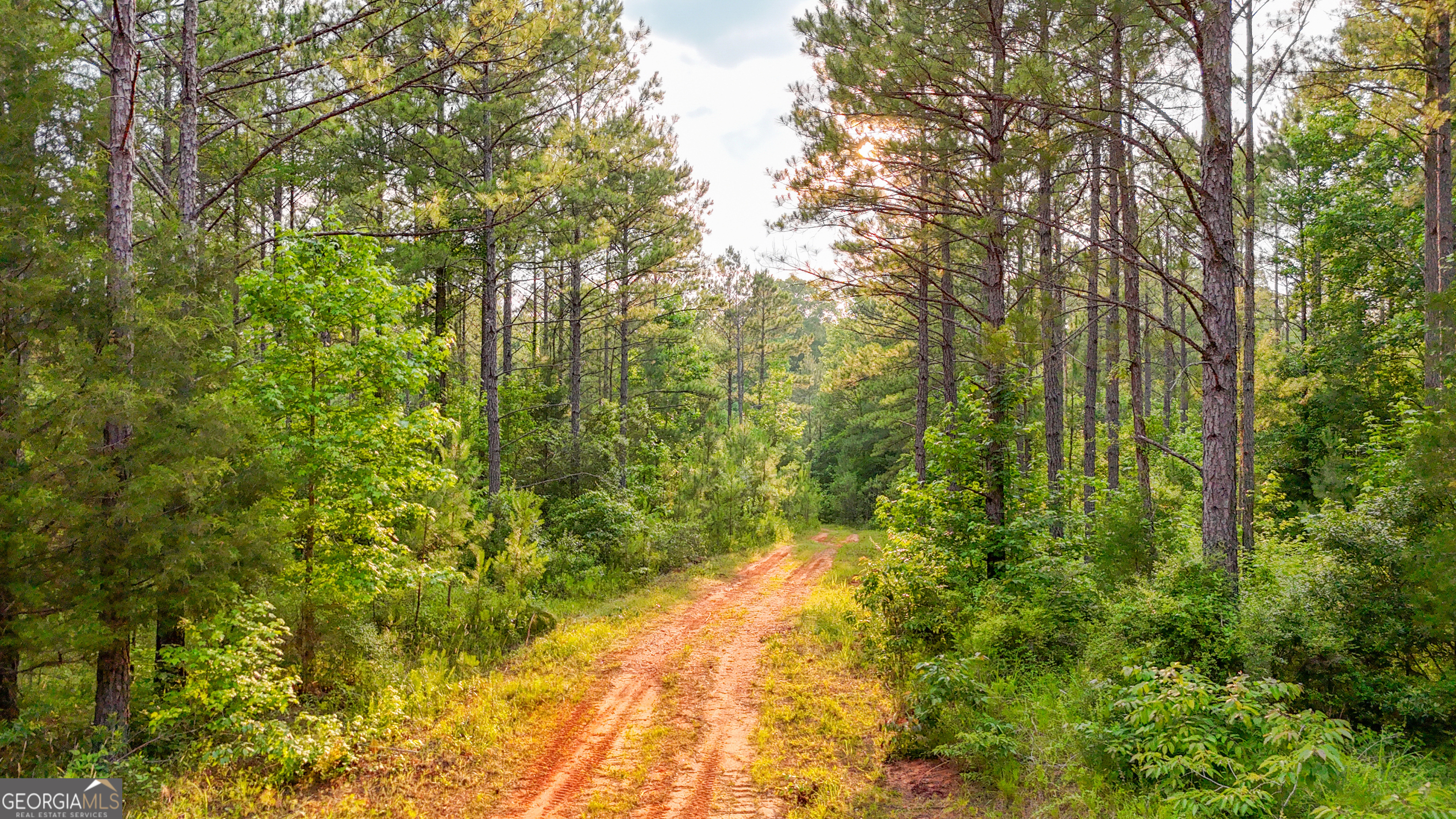 3644-3792 Fortune Hole Road Hamilton GA 31811