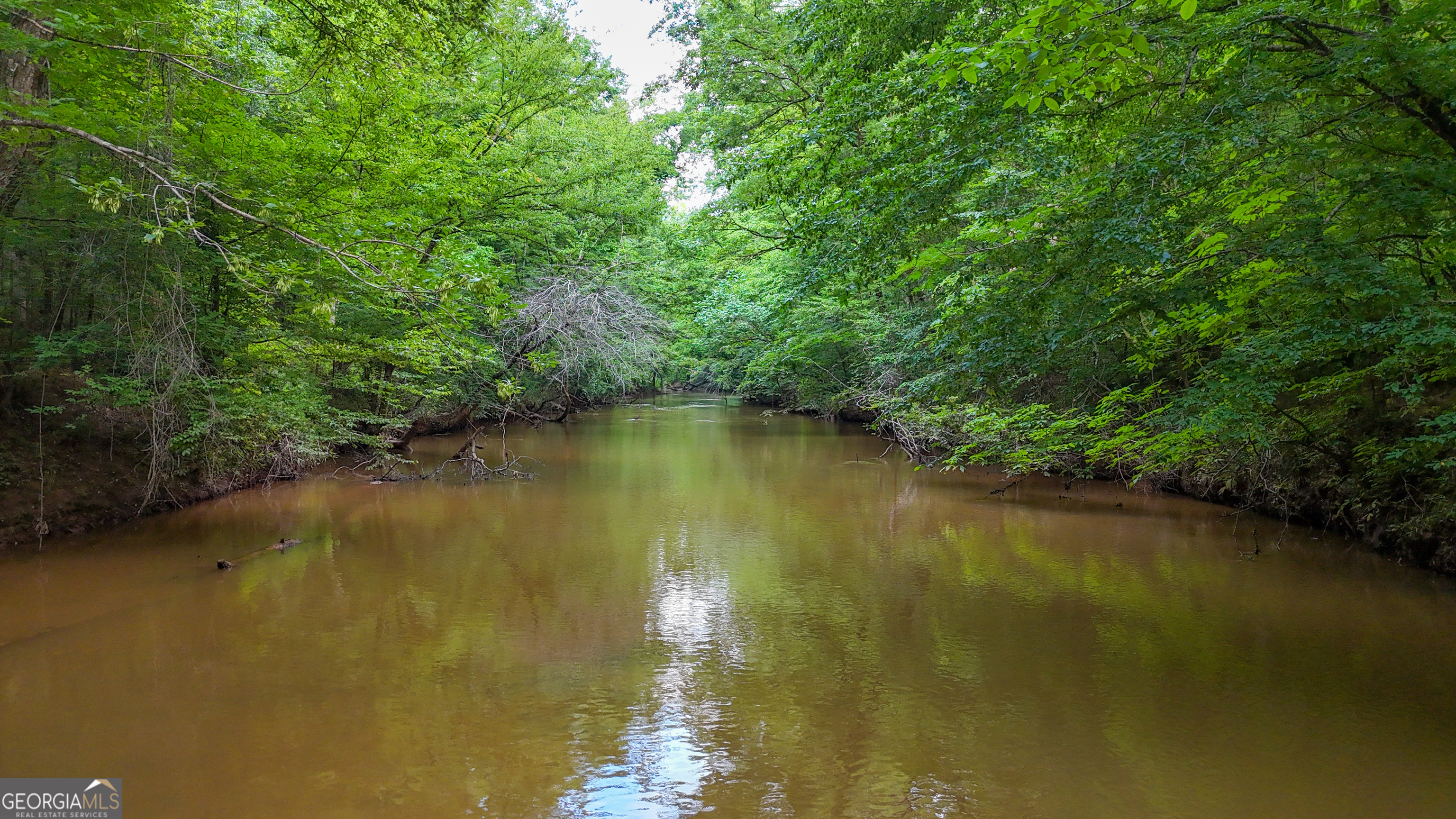 3644-3792 Fortune Hole Road Hamilton GA 31811