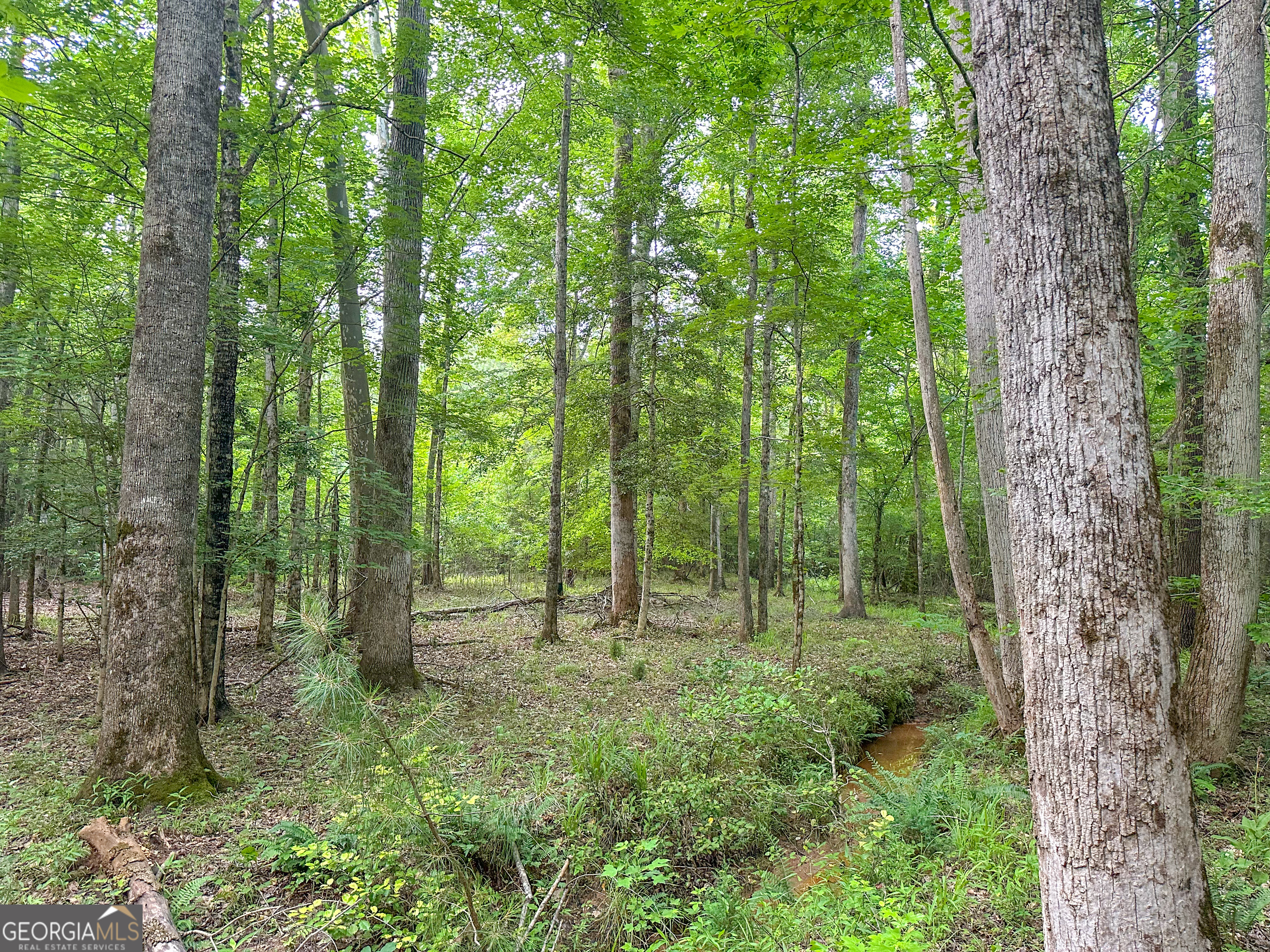 3644-3792 Fortune Hole Road Hamilton GA 31811