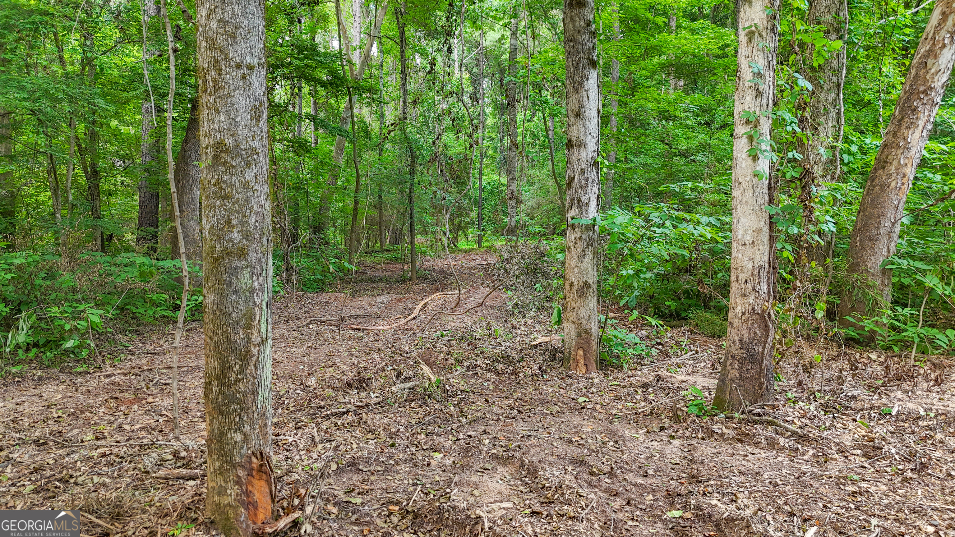 3644-3792 Fortune Hole Road Hamilton GA 31811
