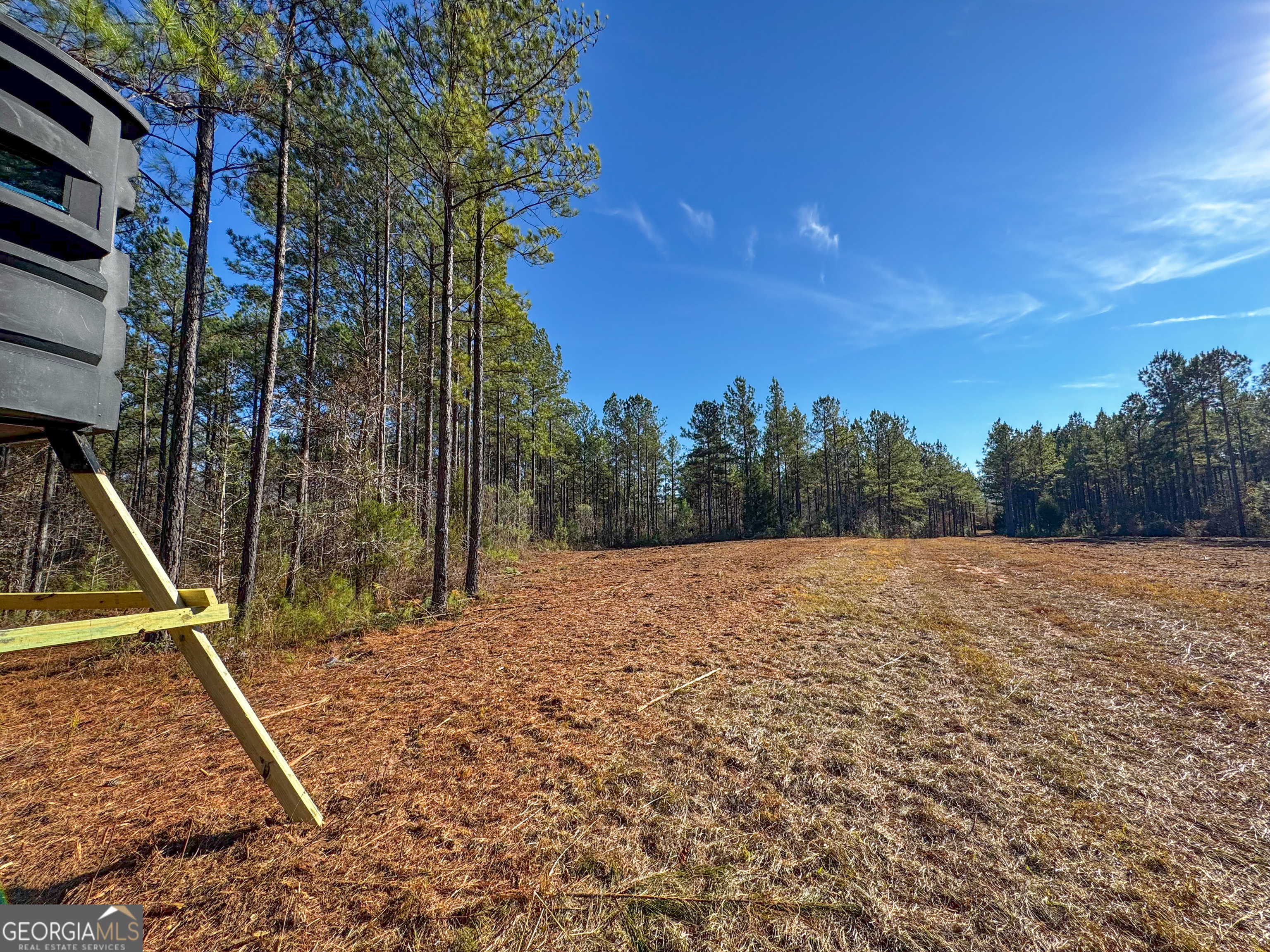 3644-3792 Fortune Hole Road Hamilton GA 31811
