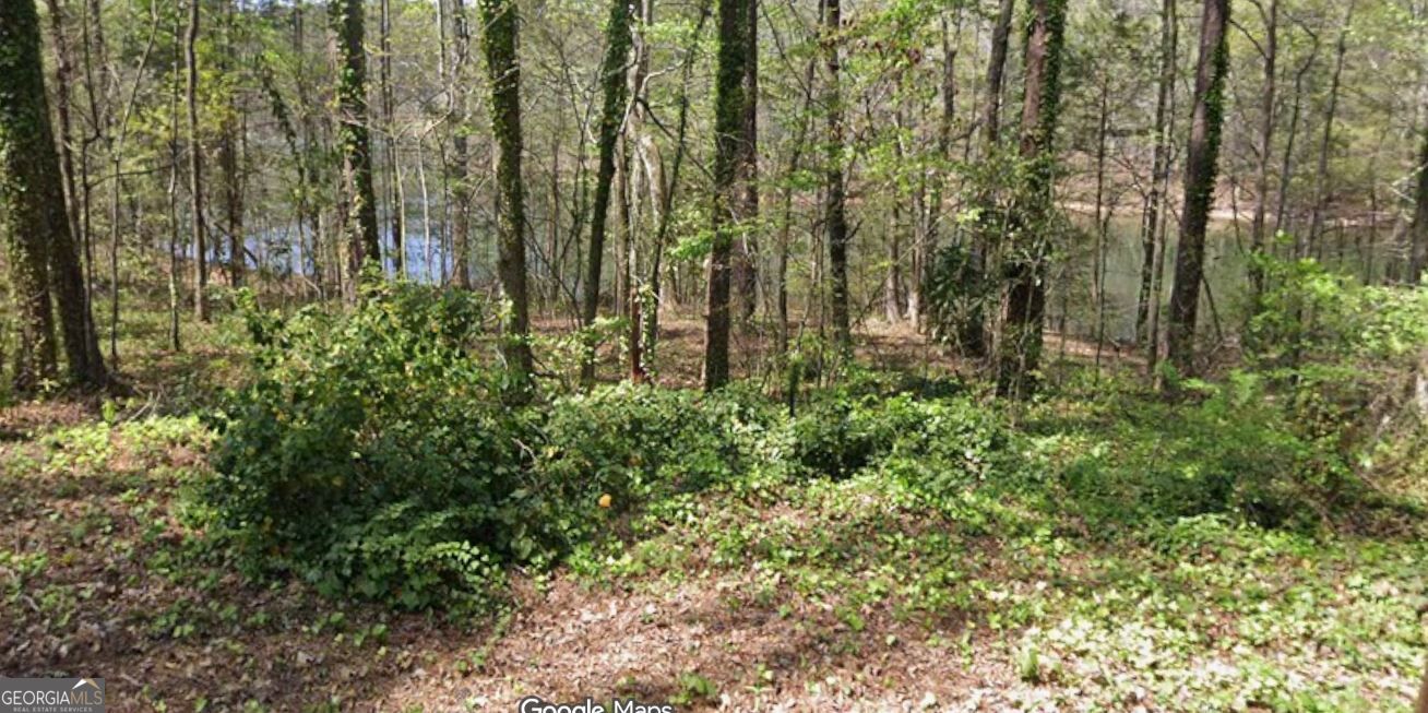 LOT56H Hawthorne Drive Waverly Hall GA 31831