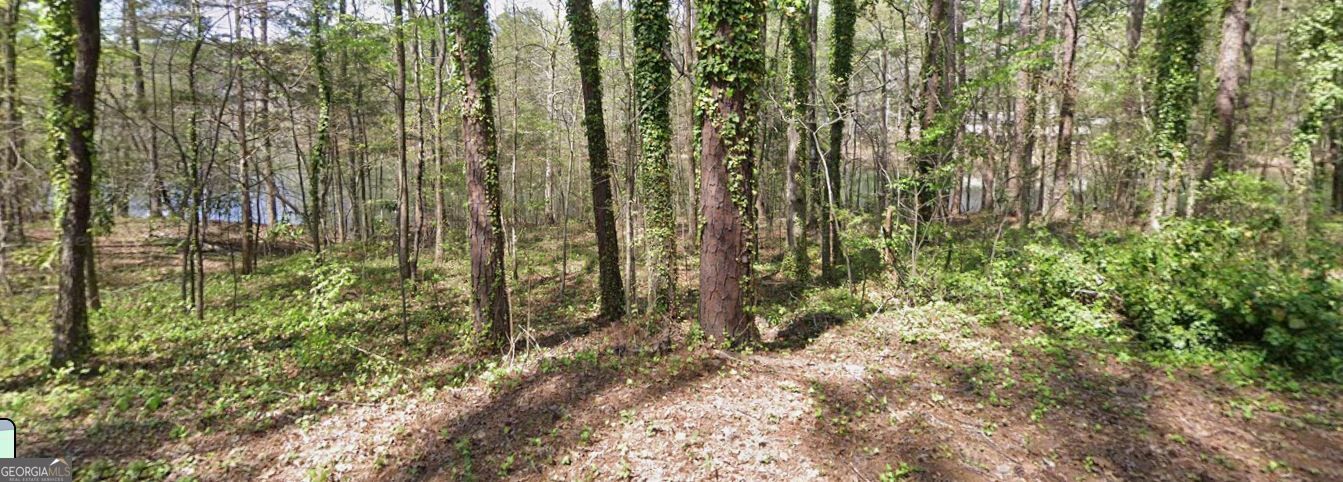 LOT56H Hawthorne Drive Waverly Hall GA 31831