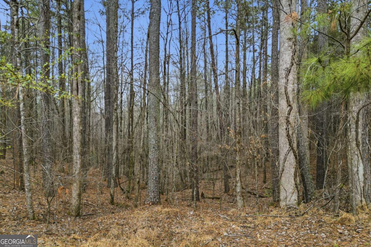 2025 Soap Creek Road Ball Ground GA 30107