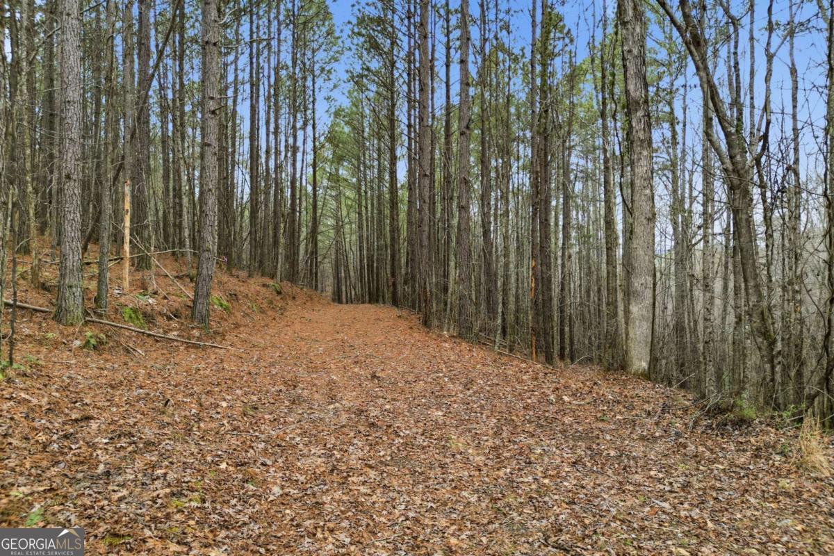 2025 Soap Creek Road Ball Ground GA 30107