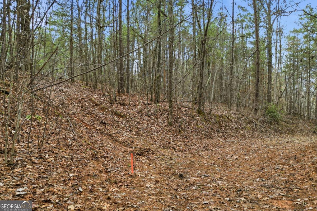 2025 Soap Creek Road Ball Ground GA 30107