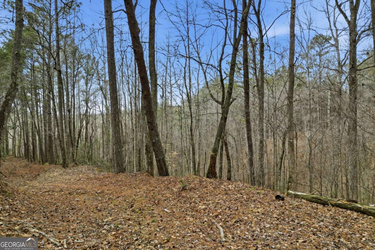 2025 Soap Creek Road Ball Ground GA 30107