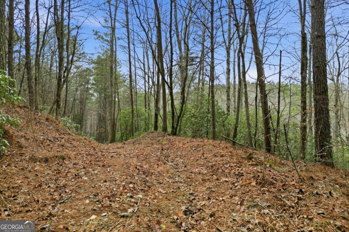 2025 Soap Creek Road Ball Ground GA 30107