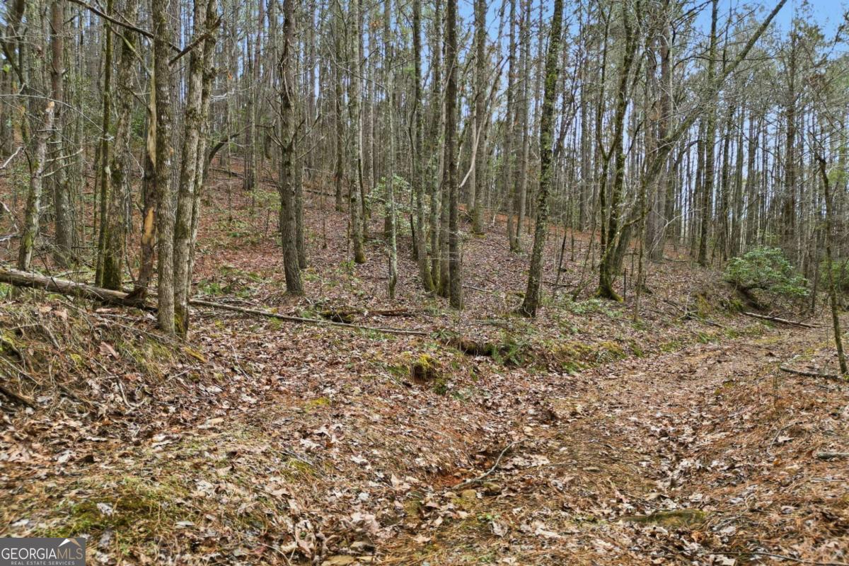 2025 Soap Creek Road Ball Ground GA 30107