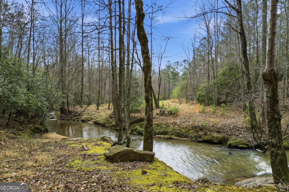2025 Soap Creek Road Ball Ground GA 30107
