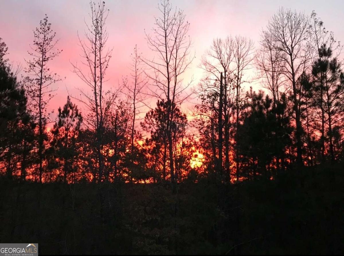 2025 Soap Creek Road Ball Ground GA 30107