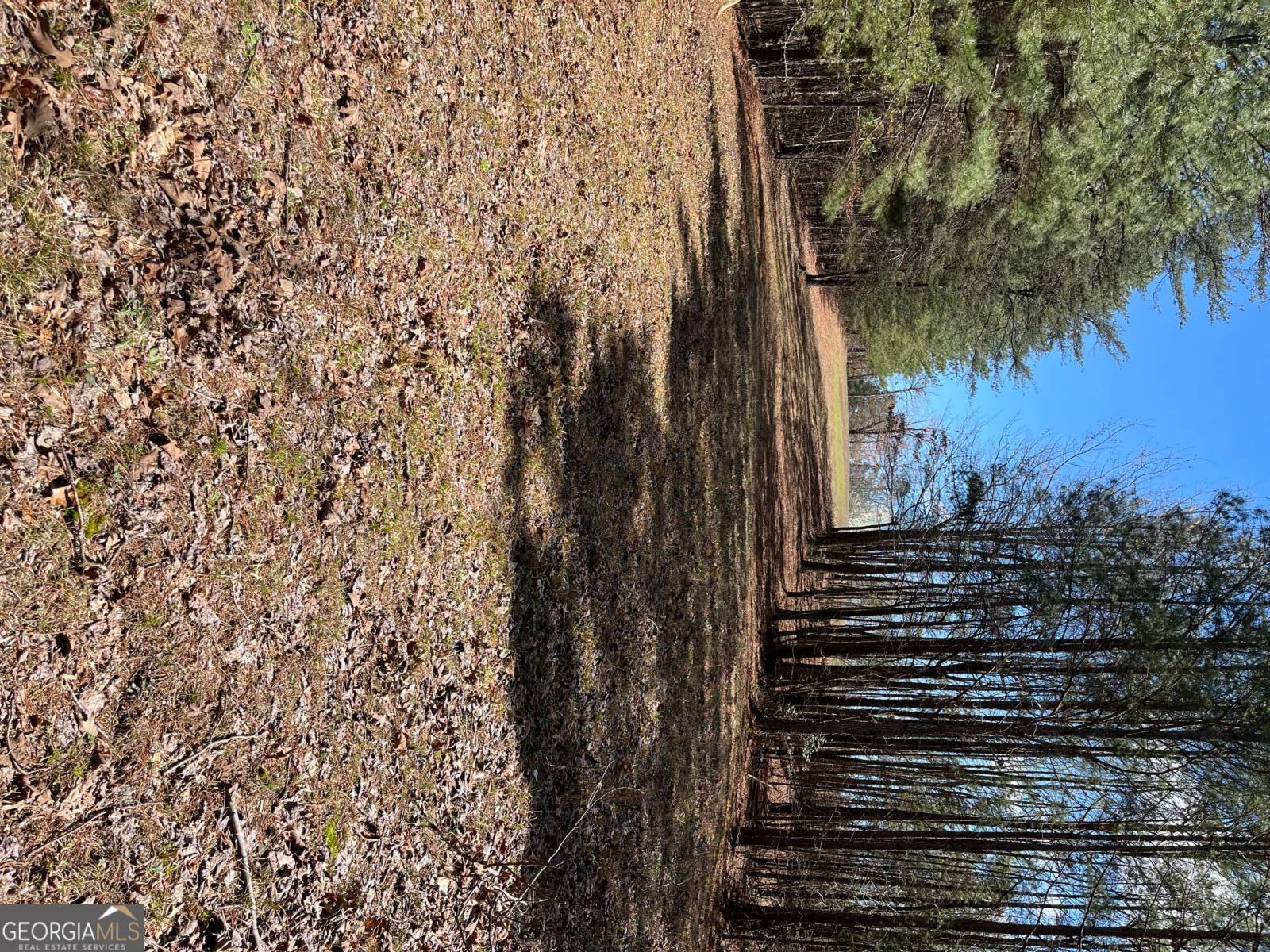 2025 Soap Creek Road Ball Ground GA 30107