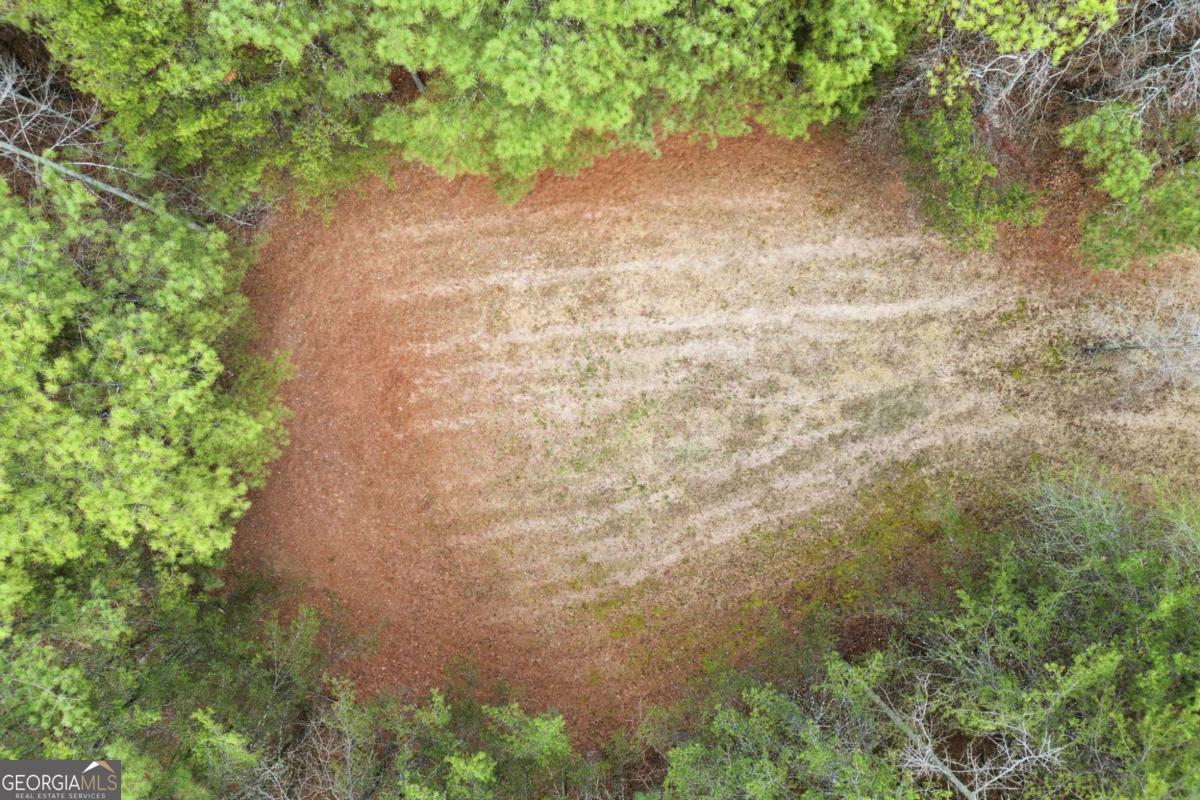 2025 Soap Creek Road Ball Ground GA 30107