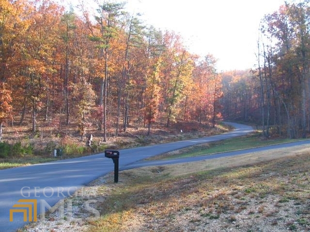 0 Autumnwood Drive Summerville GA 30747
