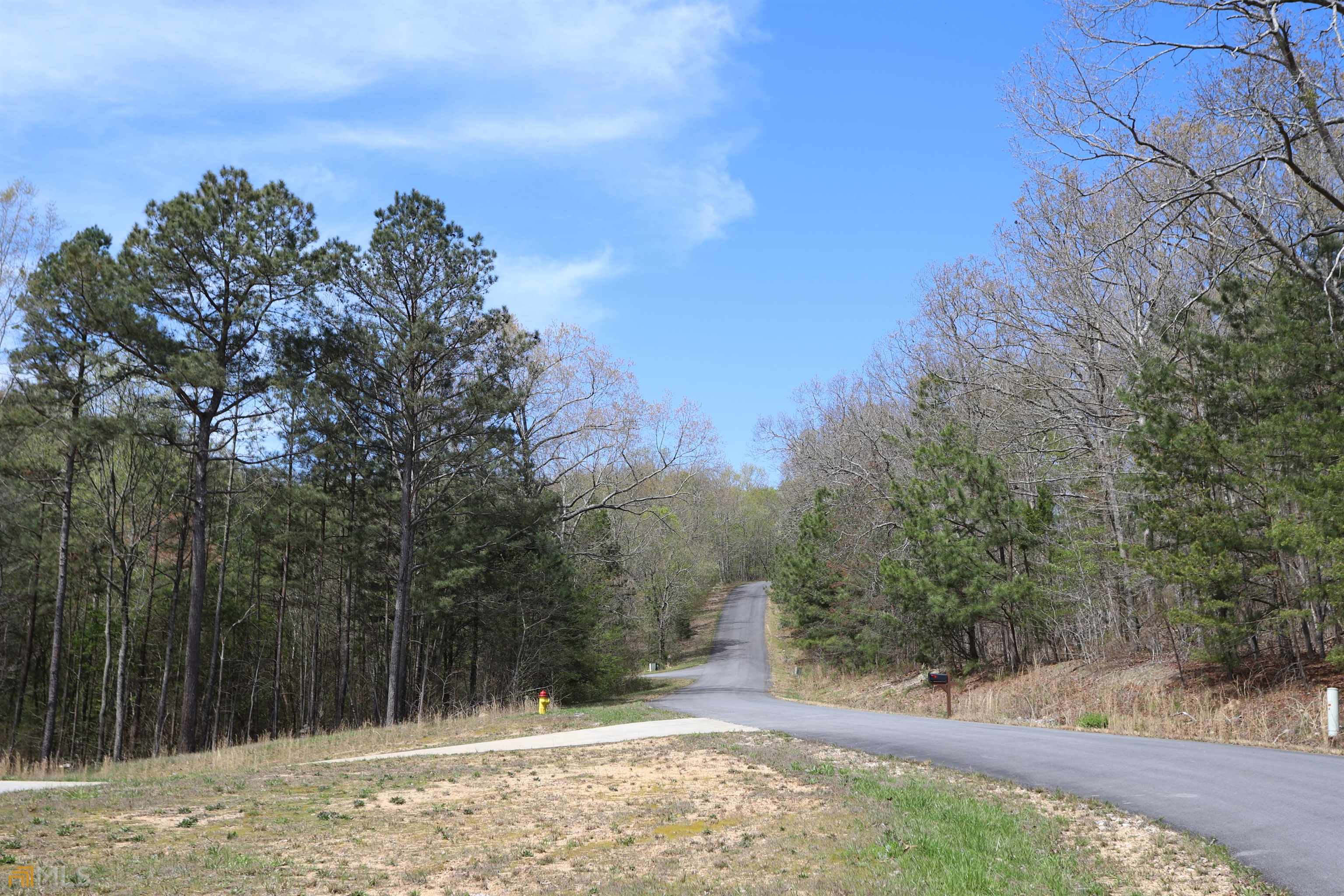 0 Autumnwood Drive Summerville GA 30747