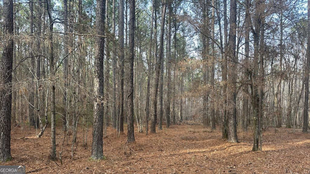 1 Country Club Road Sylvania GA 30467
