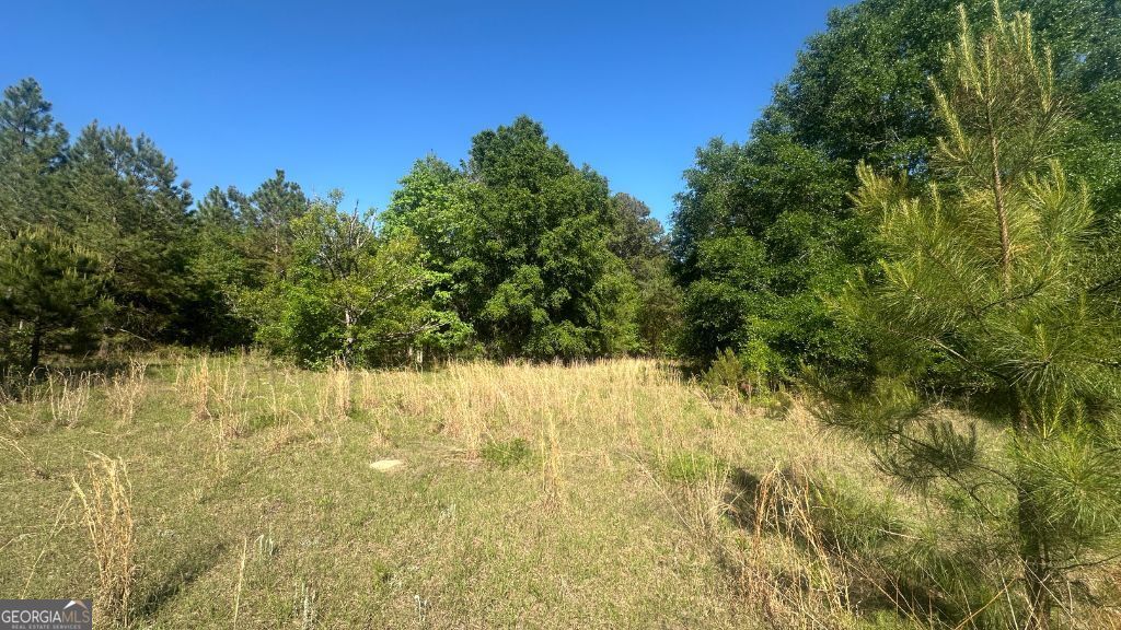 1 Country Club Road Sylvania GA 30467