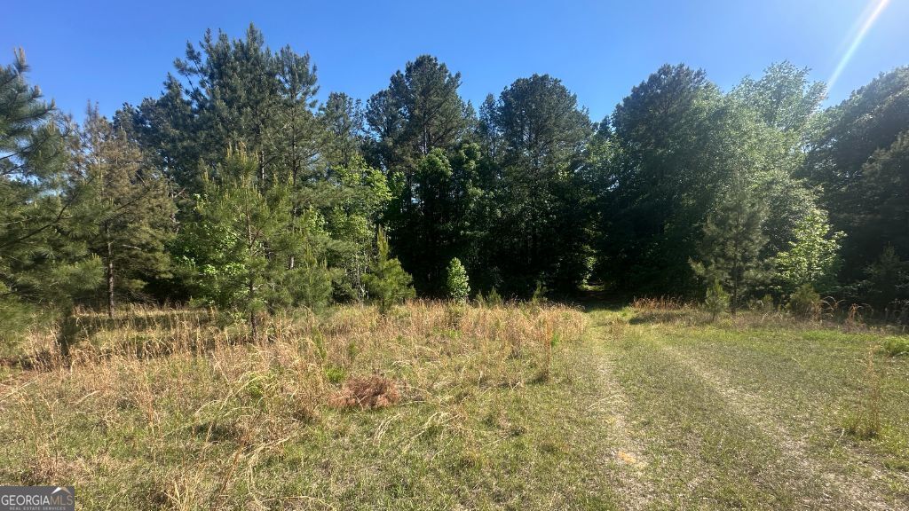 1 Country Club Road Sylvania GA 30467
