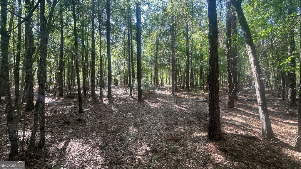 1 Country Club Road Sylvania GA 30467