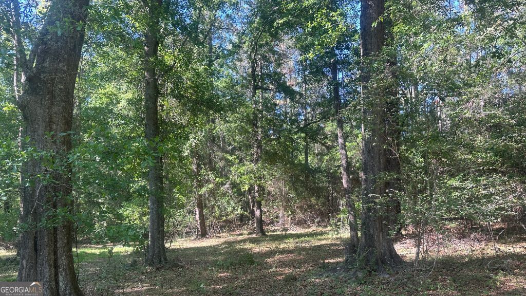 1 Country Club Road Sylvania GA 30467