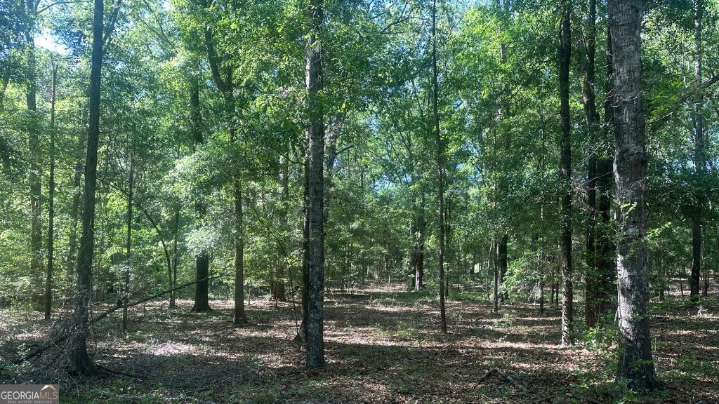 1 Country Club Road Sylvania GA 30467