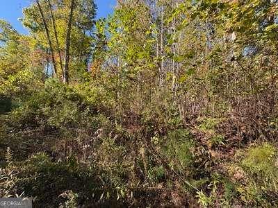 Tract 1 Shoal Creek Road Murphy NC 28906