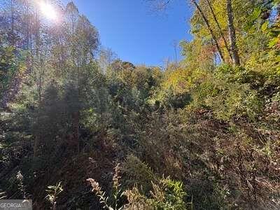 Tract 1 Shoal Creek Road Murphy NC 28906