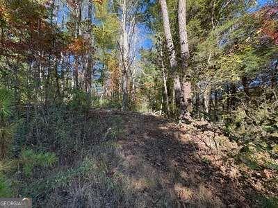 Tract 1 Shoal Creek Road Murphy NC 28906