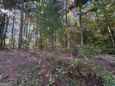 Tract 1 Shoal Creek Road Murphy NC 28906