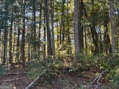 Tract 1 Shoal Creek Road Murphy NC 28906
