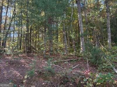 Tract 1 Shoal Creek Road Murphy NC 28906