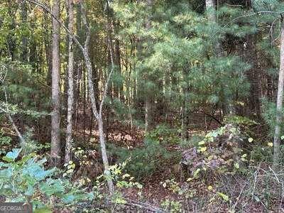 Tract 1 Shoal Creek Road Murphy NC 28906