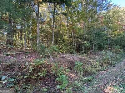 Tract 1 Shoal Creek Road Murphy NC 28906
